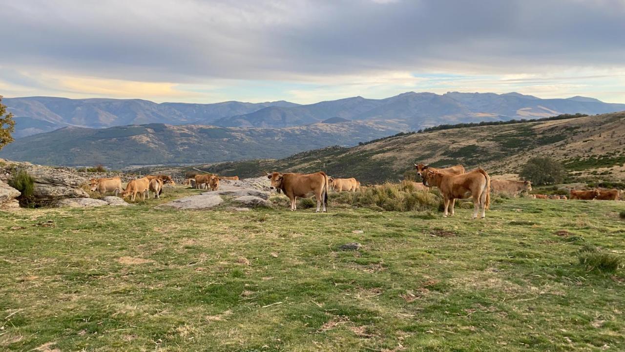 El Pajar De Tio Mariano Villa Tremedal Buitenkant foto